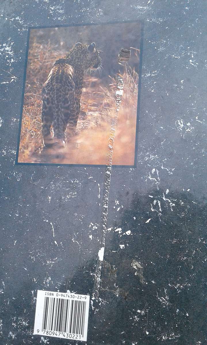 "Leopards of Londolozi"  Hard cover.