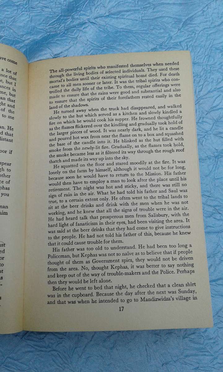 `The Rain Goddess"  Peter Stiff.  Soft cover.