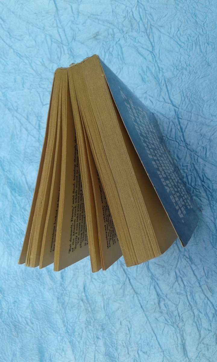 `The Rain Goddess"  Peter Stiff.  Soft cover.