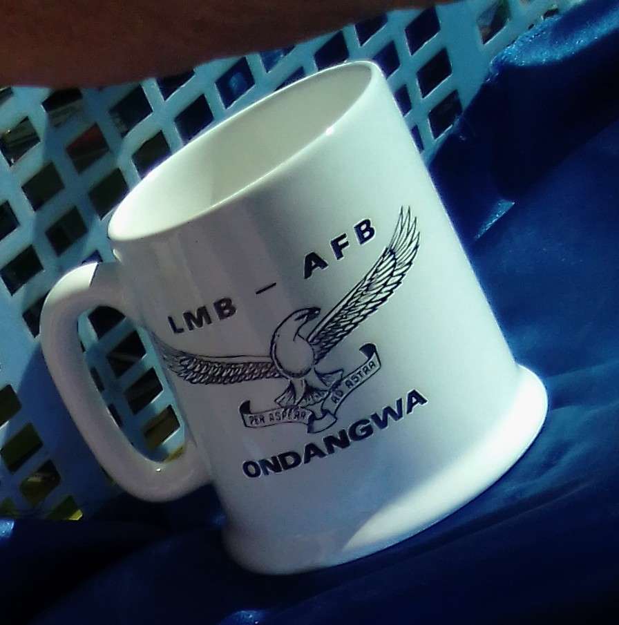 Ondangwa mug.