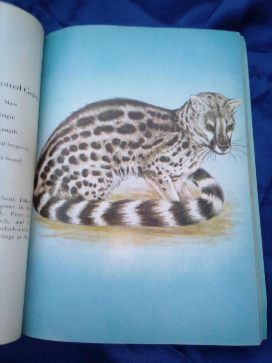 Soogdiere/Mammals  Eleventh edition.  1980.  Soft cover.