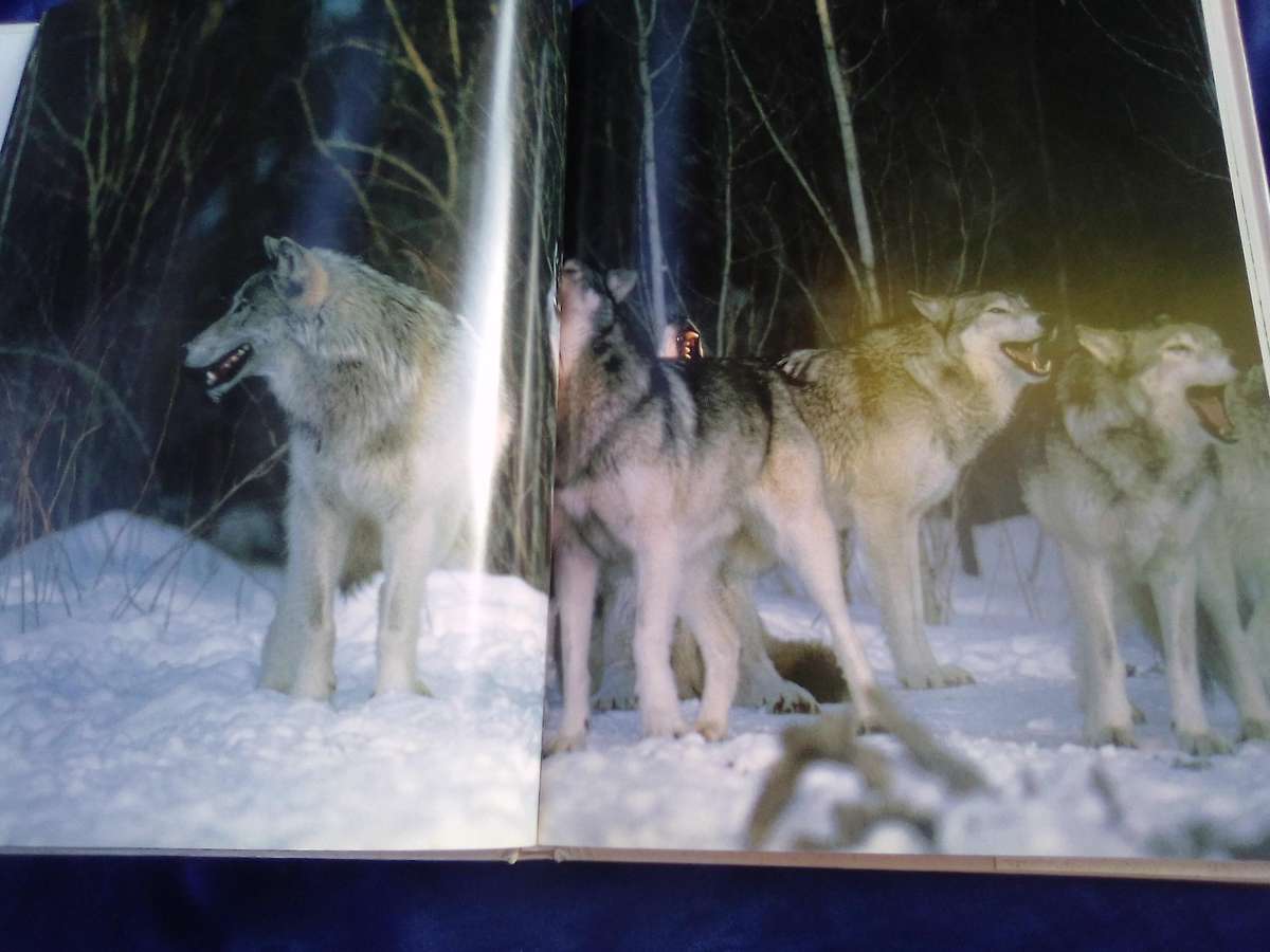 "The Way of the Wolf" Hard cover.