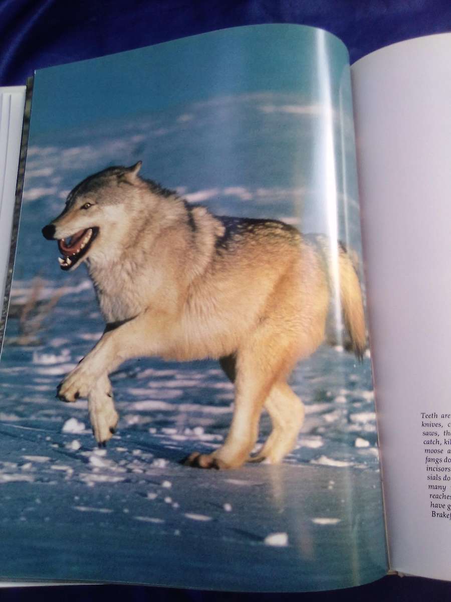 "The Way of the Wolf" Hard cover.