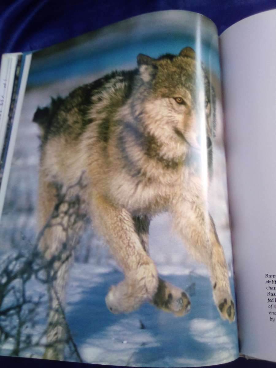 "The Way of the Wolf" Hard cover.