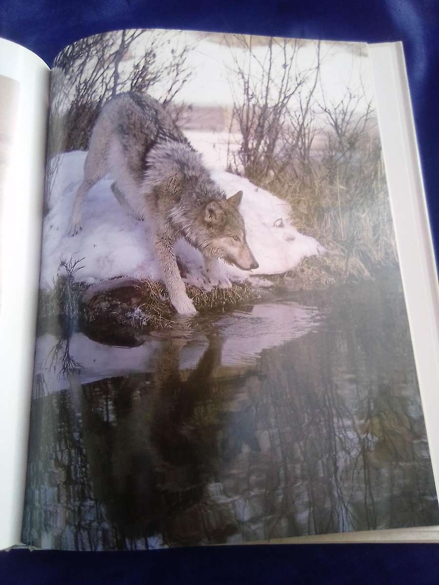 "The Way of the Wolf" Hard cover.