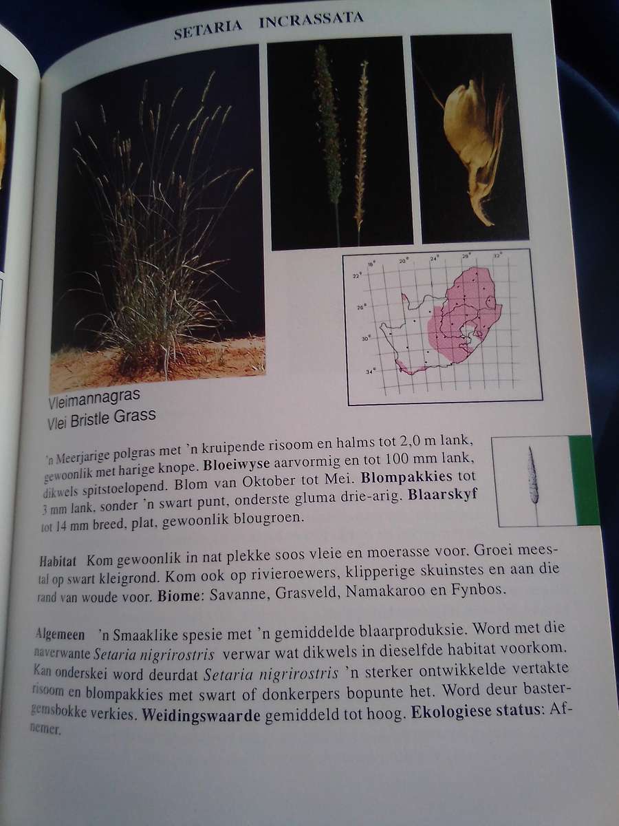 `Gids tot Grasse van Suid-Afrika"  Hard cover.