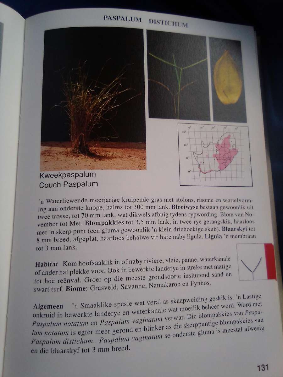 `Gids tot Grasse van Suid-Afrika"  Hard cover.