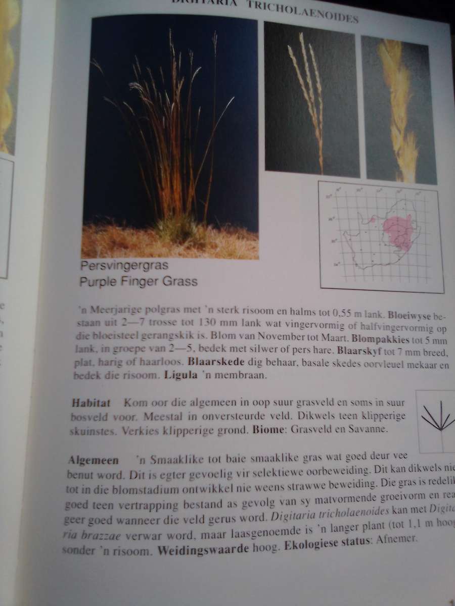 `Gids tot Grasse van Suid-Afrika"  Hard cover.