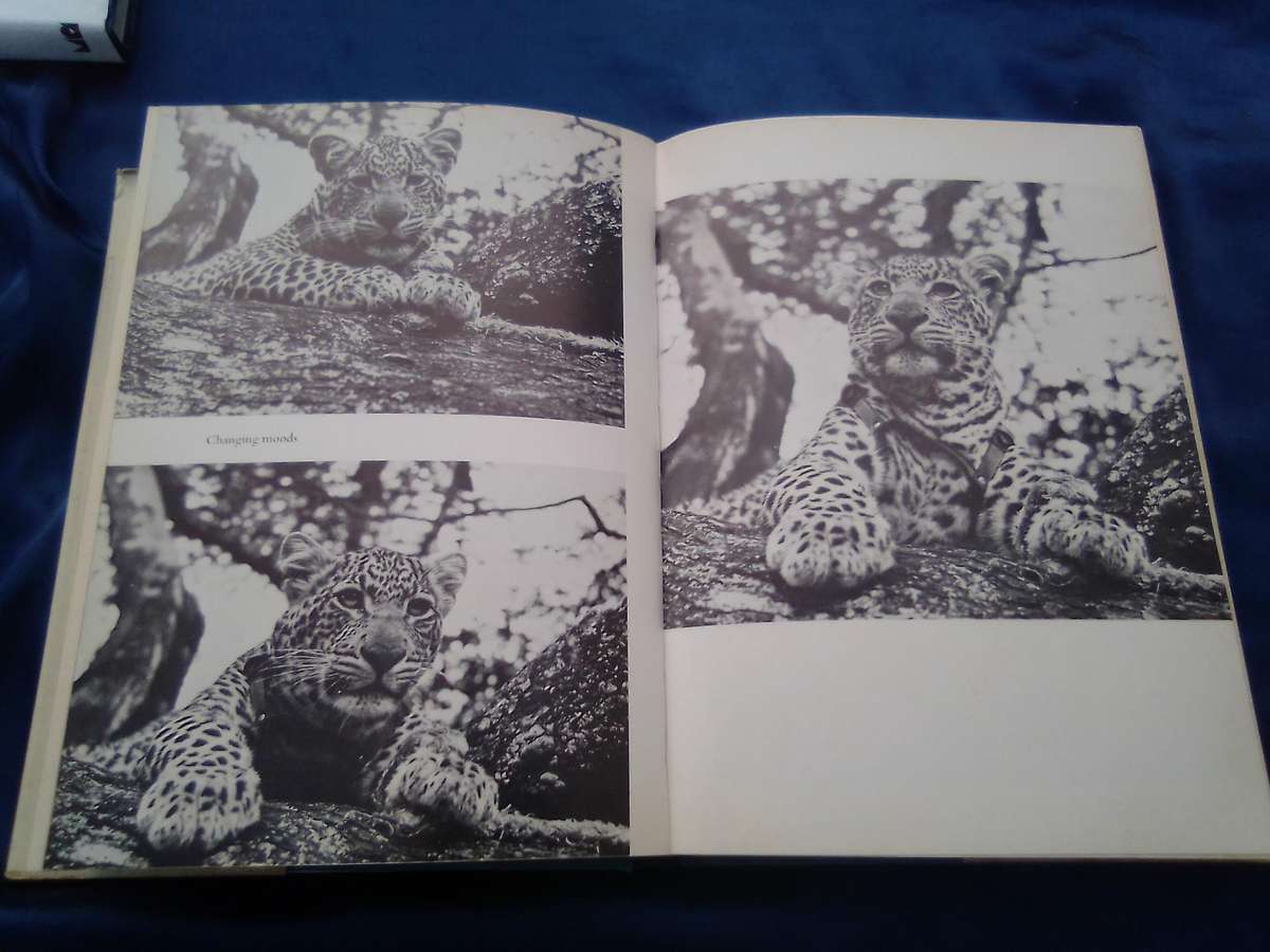 "Queen of Shaba"  Joy Adamson.  Hard cover.