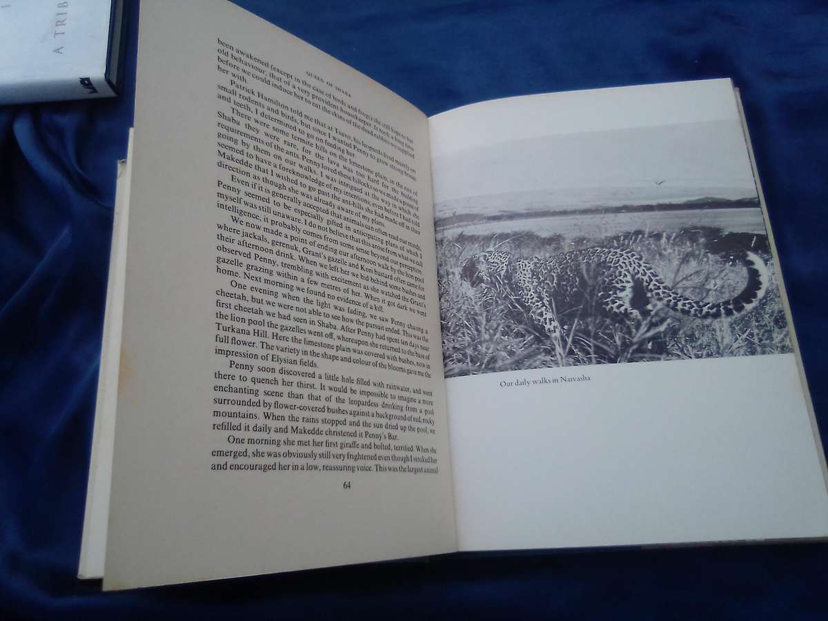 "Queen of Shaba"  Joy Adamson.  Hard cover.
