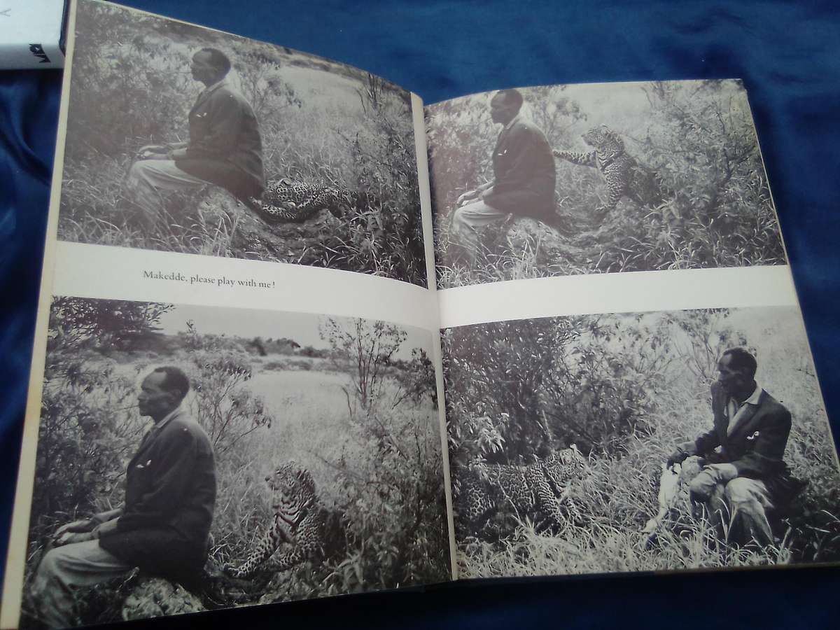 "Queen of Shaba"  Joy Adamson.  Hard cover.