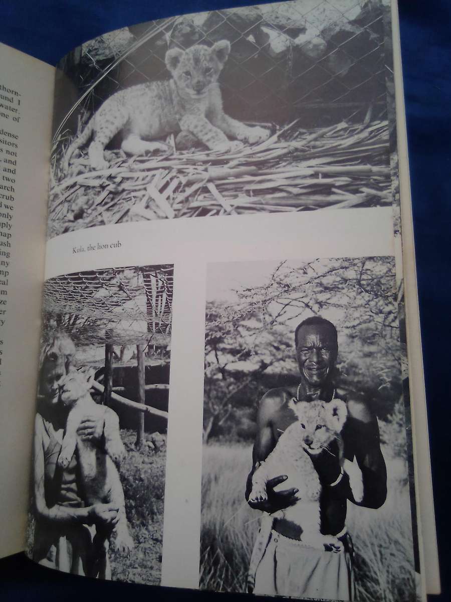 "Queen of Shaba"  Joy Adamson.  Hard cover.