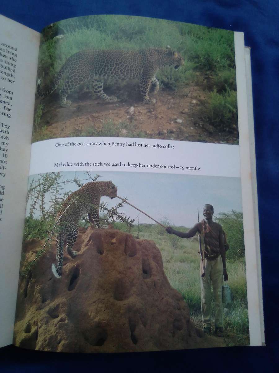 "Queen of Shaba"  Joy Adamson.  Hard cover.