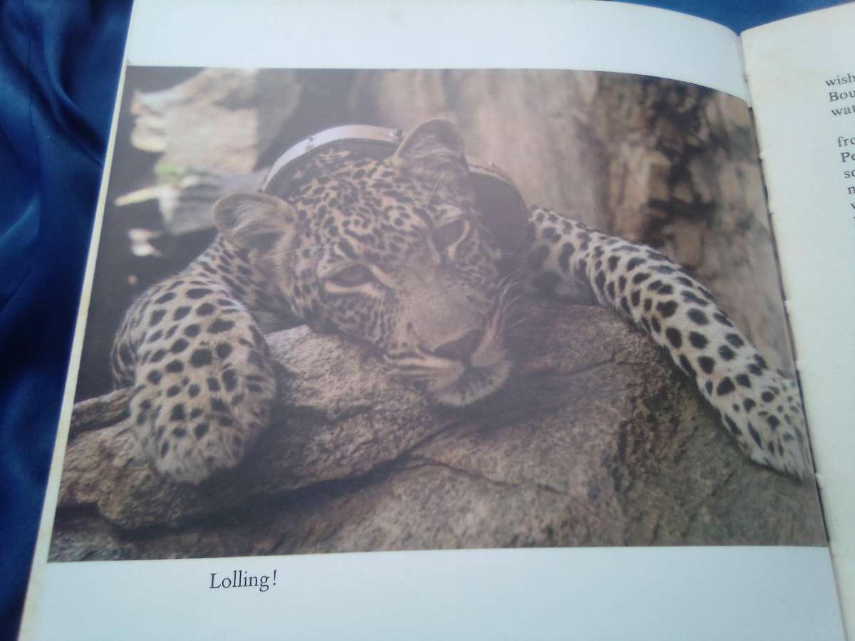 "Queen of Shaba"  Joy Adamson.  Hard cover.