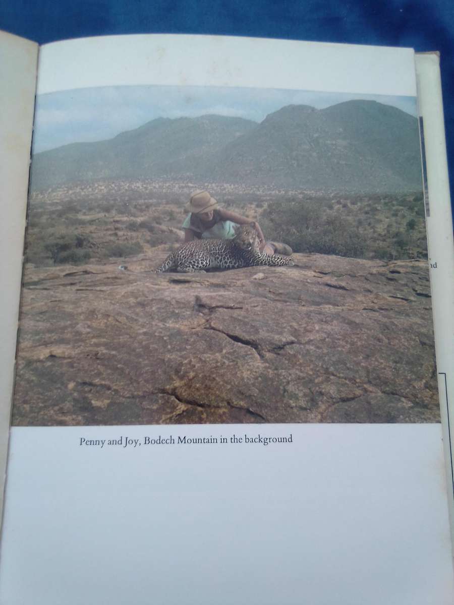 "Queen of Shaba"  Joy Adamson.  Hard cover.