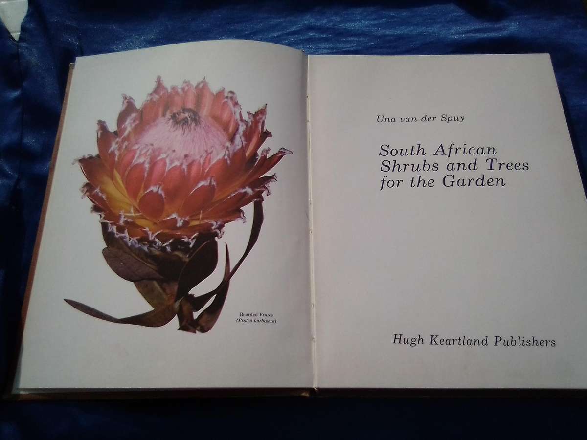 1976. `South African Shrubs and Trees for the Garden"  Una van der Spuy.  Hard cover.