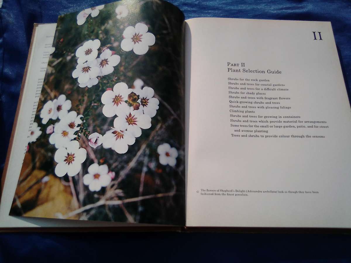 1976. `South African Shrubs and Trees for the Garden"  Una van der Spuy.  Hard cover.