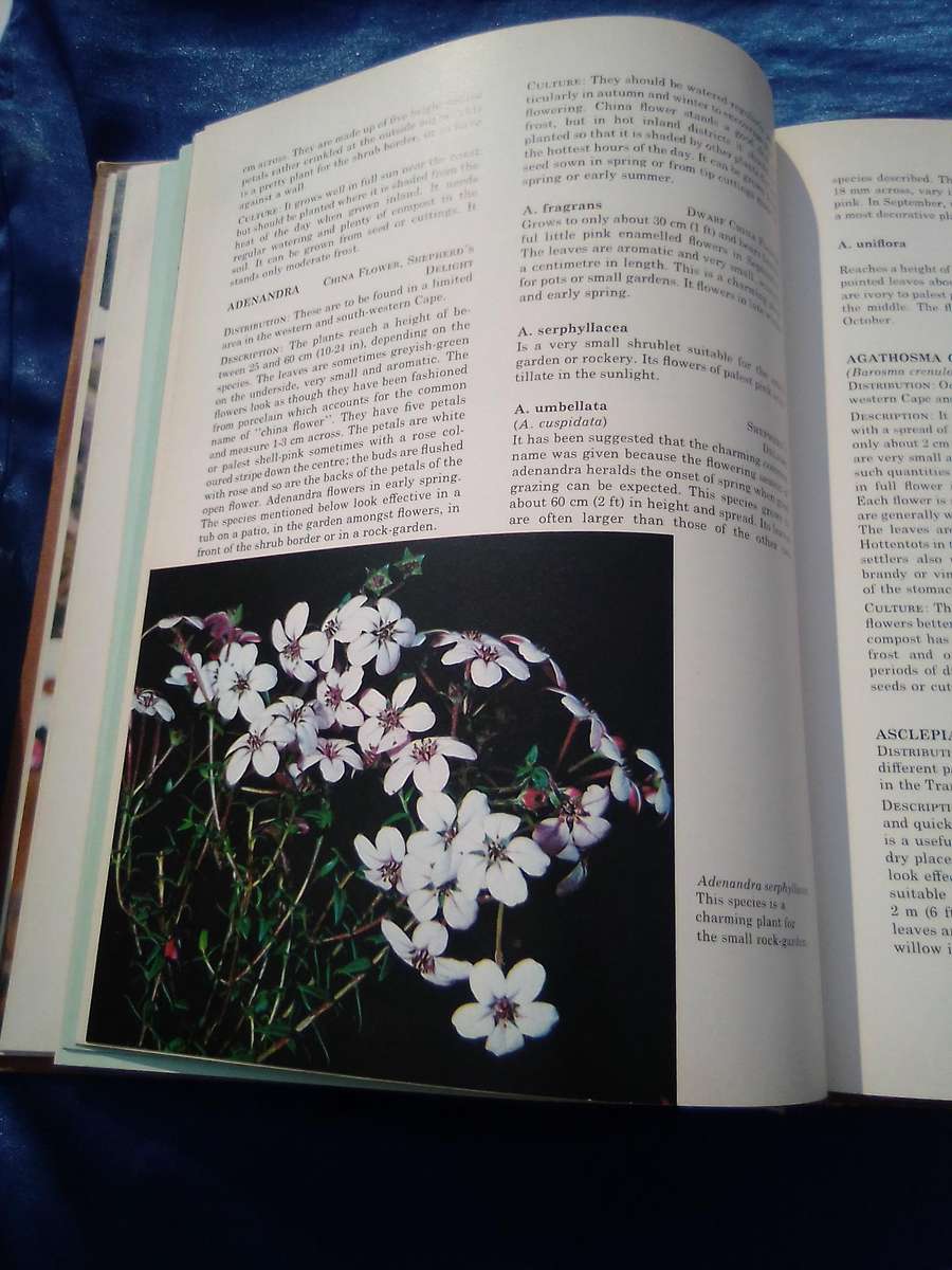 1976. `South African Shrubs and Trees for the Garden"  Una van der Spuy.  Hard cover.