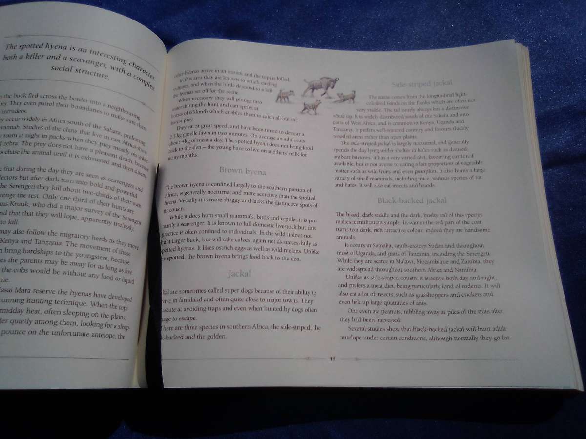 "African Safari Journal"  Excellent condition.  Hard cover.