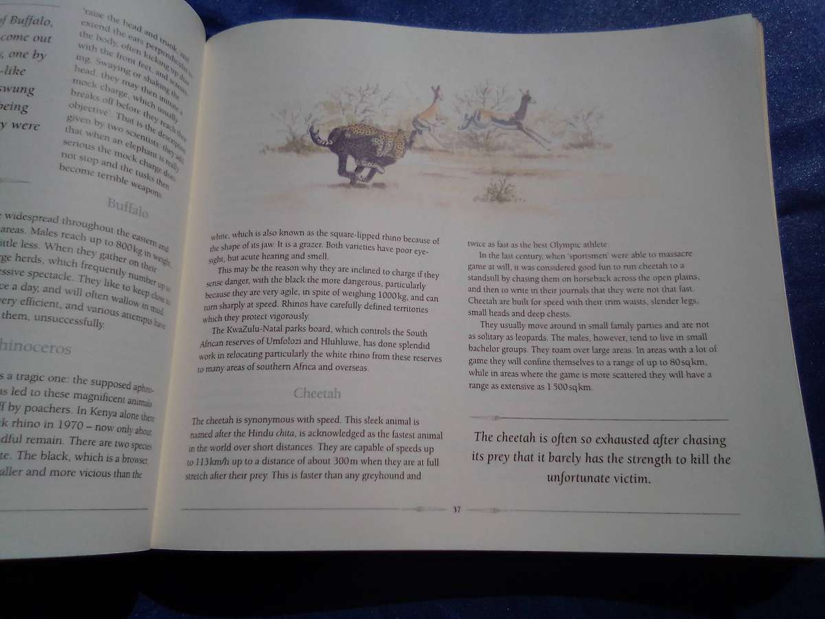 "African Safari Journal"  Excellent condition.  Hard cover.