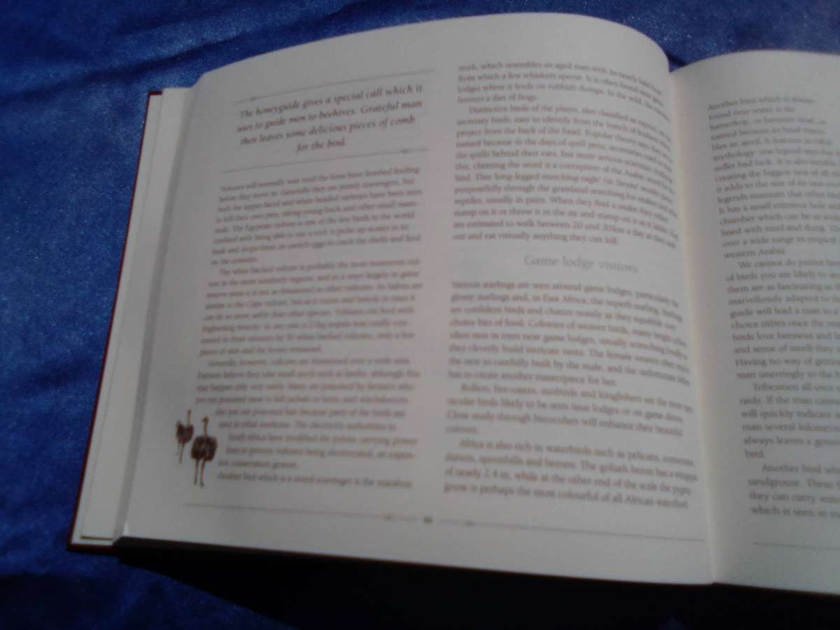 "African Safari Journal"  Excellent condition.  Hard cover.