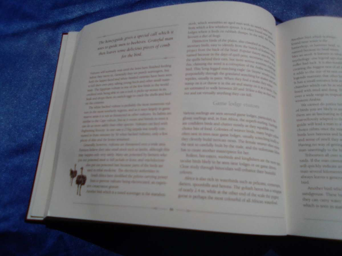 "African Safari Journal"  Excellent condition.  Hard cover.