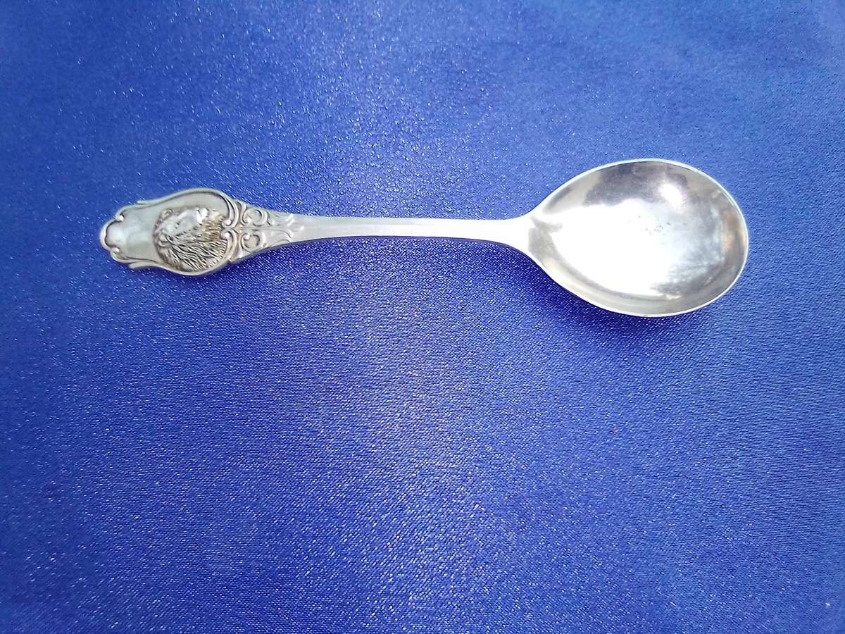 Kruger National Park joblot.