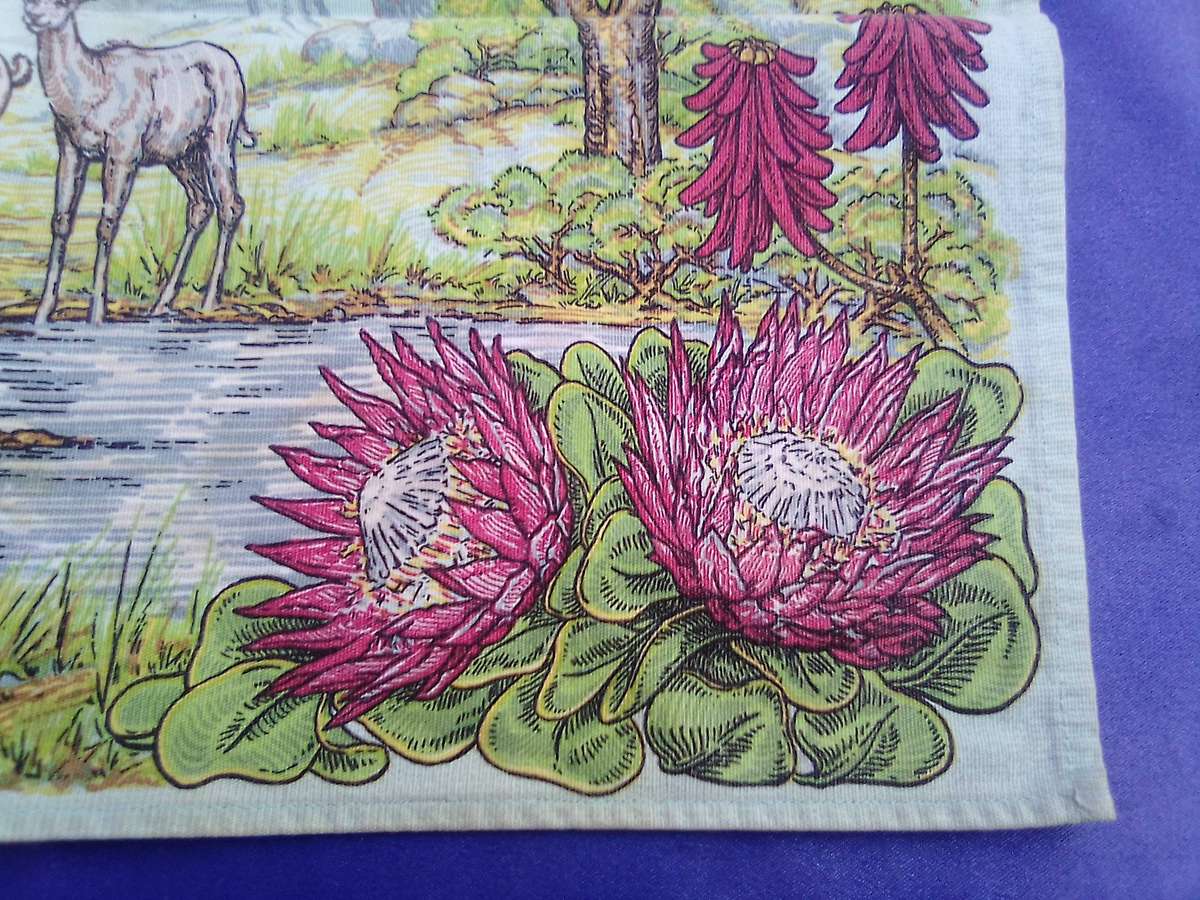 Kruger National Park joblot.