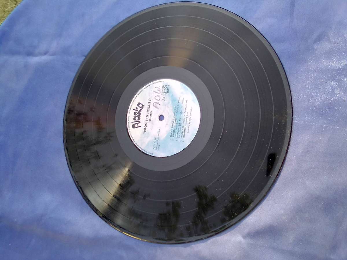 L.P. Vinyl Record. Cymande.  Promised Heights.  VG  VG