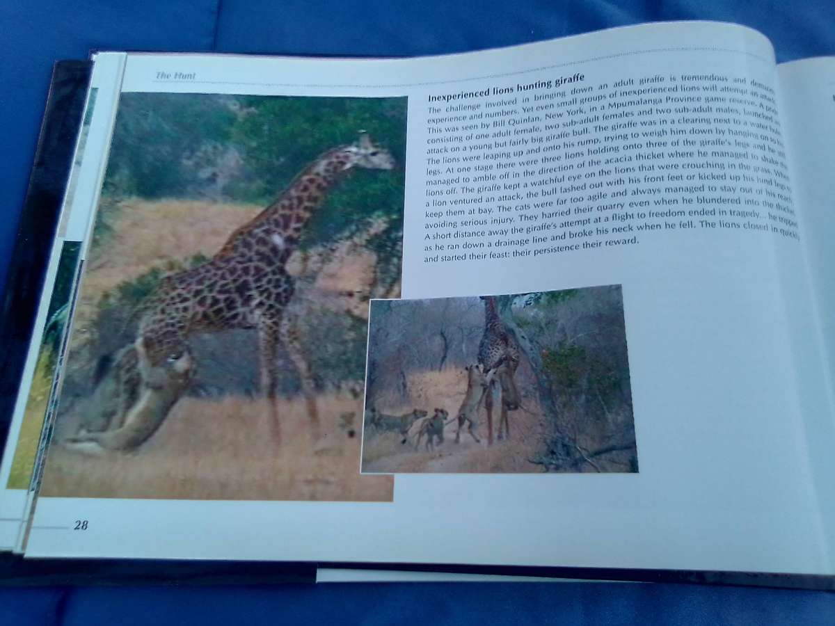 "Veld Focus" Ten years of Nature's Wonders.  Hard cover.