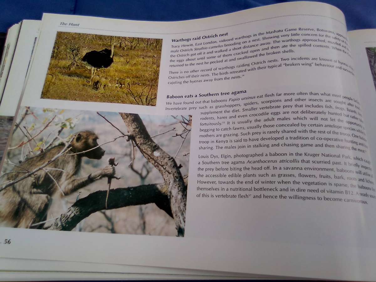 "Veld Focus" Ten years of Nature's Wonders.  Hard cover.