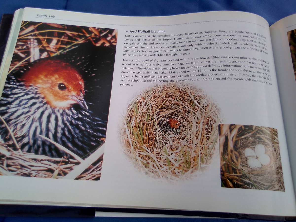 "Veld Focus" Ten years of Nature's Wonders.  Hard cover.