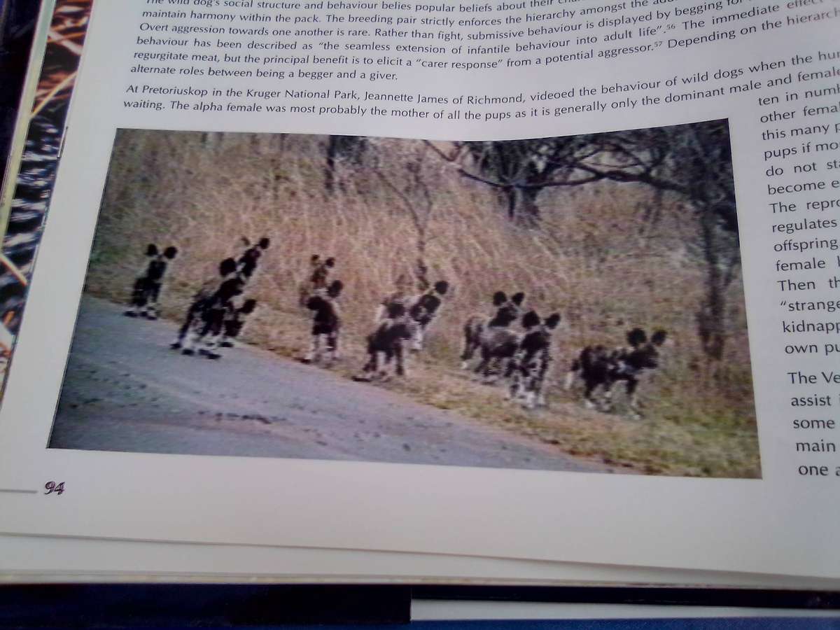 "Veld Focus" Ten years of Nature's Wonders.  Hard cover.