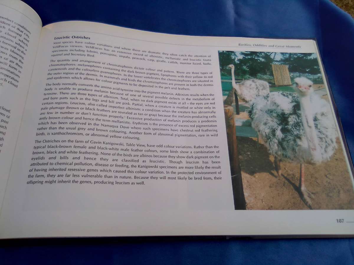 "Veld Focus" Ten years of Nature's Wonders.  Hard cover.