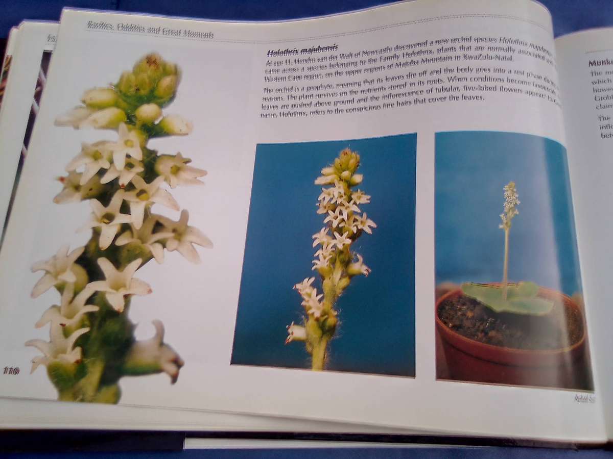 "Veld Focus" Ten years of Nature's Wonders.  Hard cover.