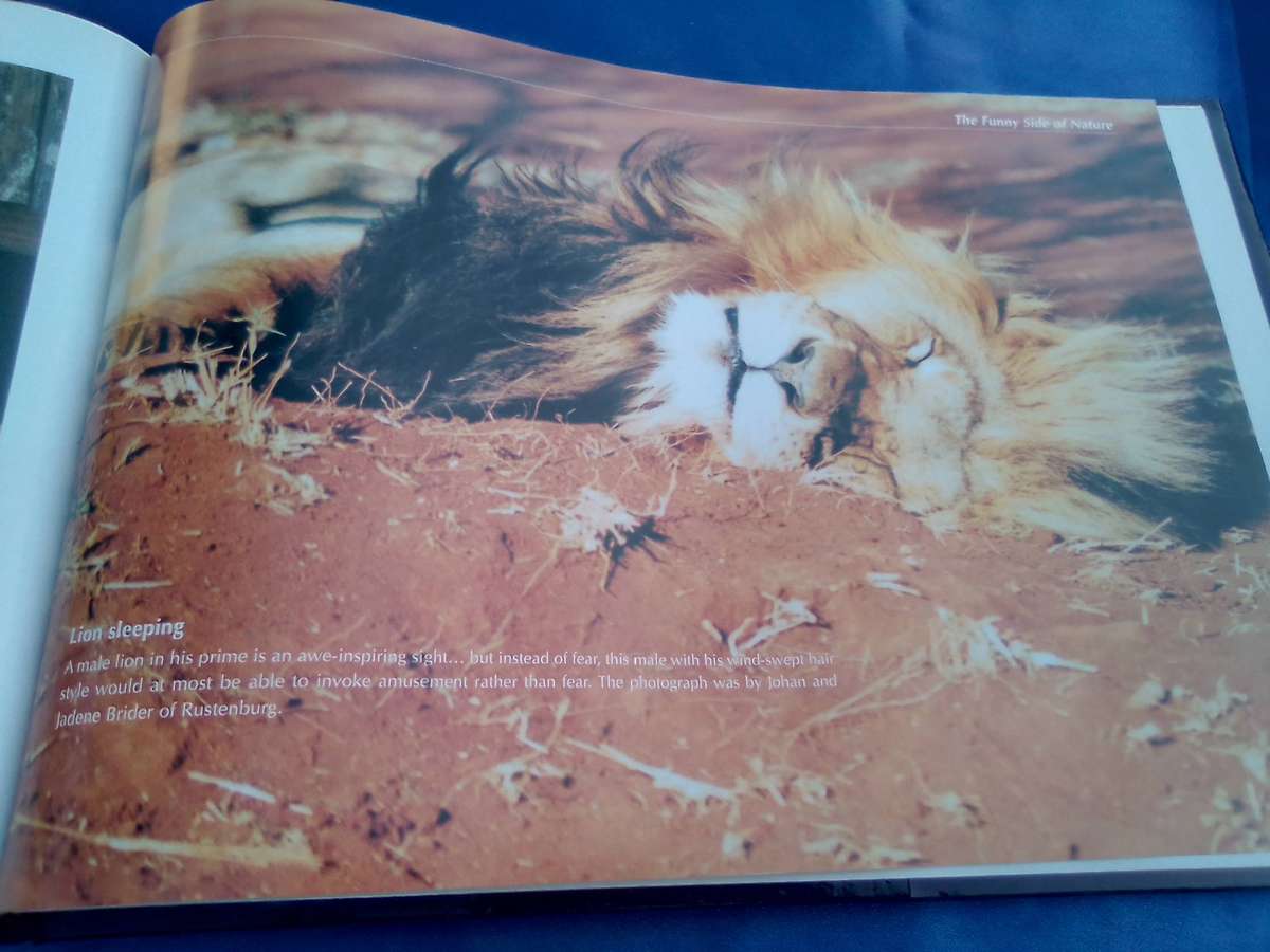 "Veld Focus" Ten years of Nature's Wonders.  Hard cover.