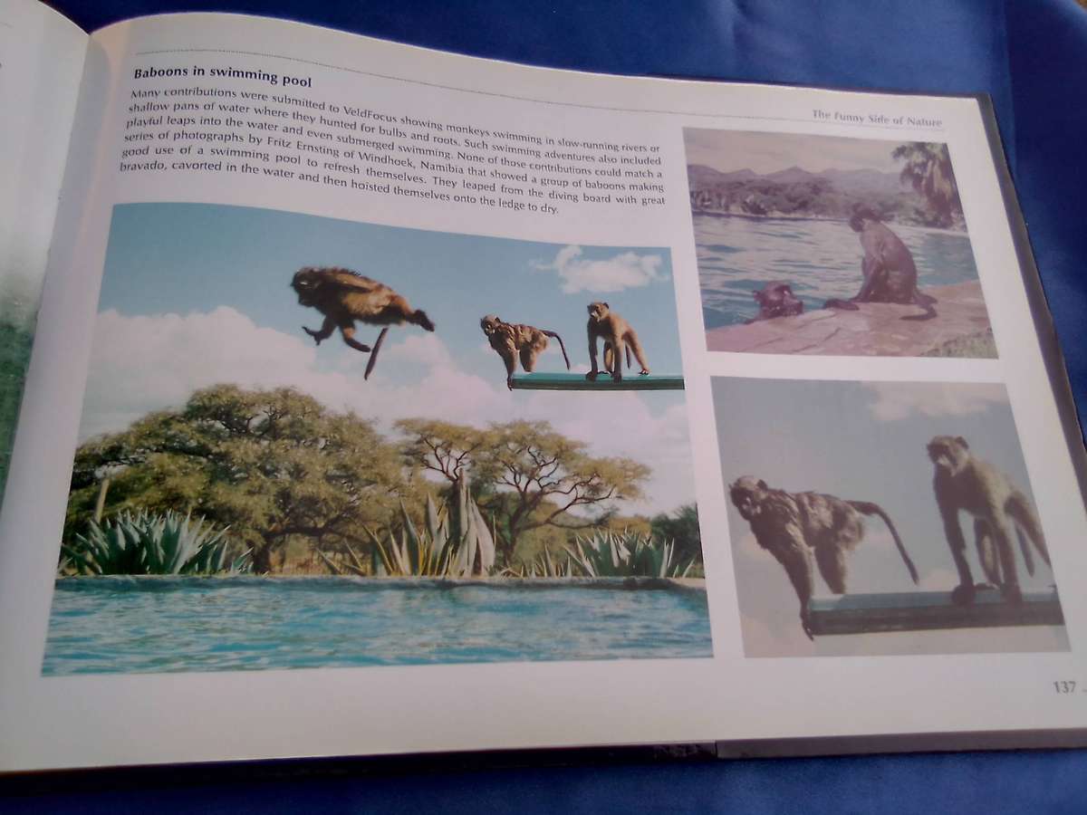 "Veld Focus" Ten years of Nature's Wonders.  Hard cover.