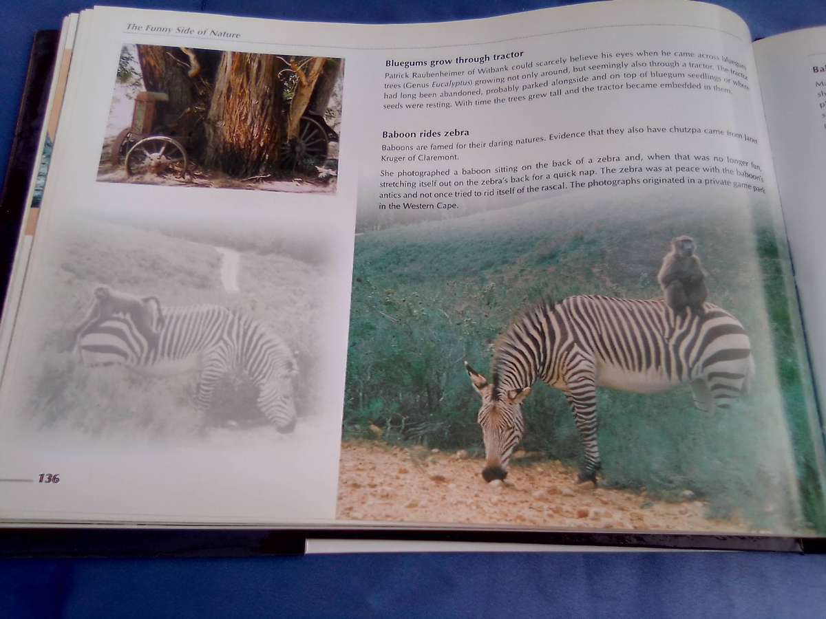 "Veld Focus" Ten years of Nature's Wonders.  Hard cover.