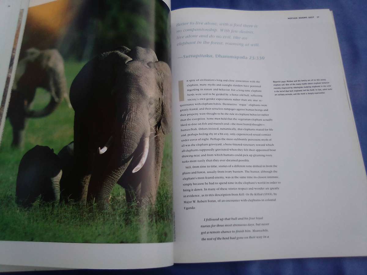 "Elephants"  Soft cover.