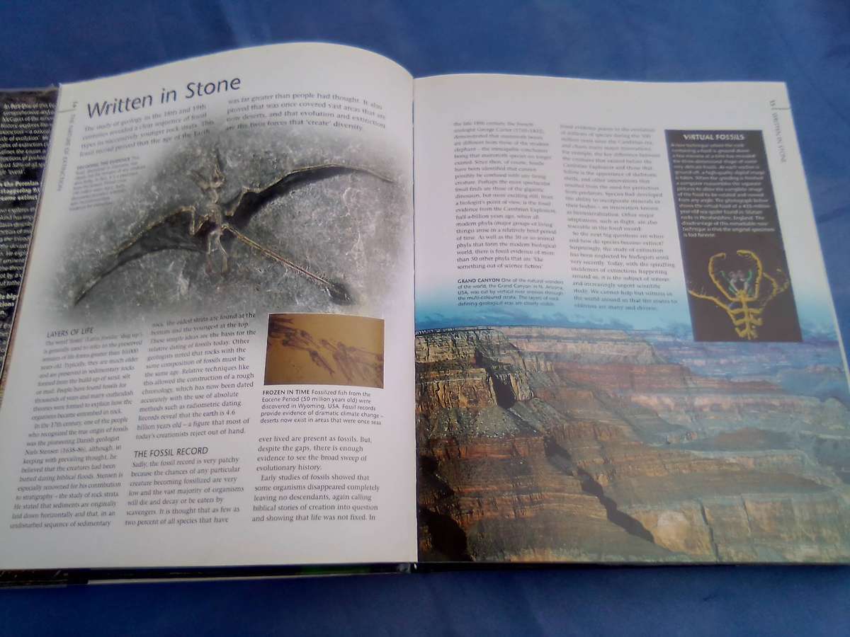 "Endangered". Wildlife on the brink of Extinction.   Hard cover.