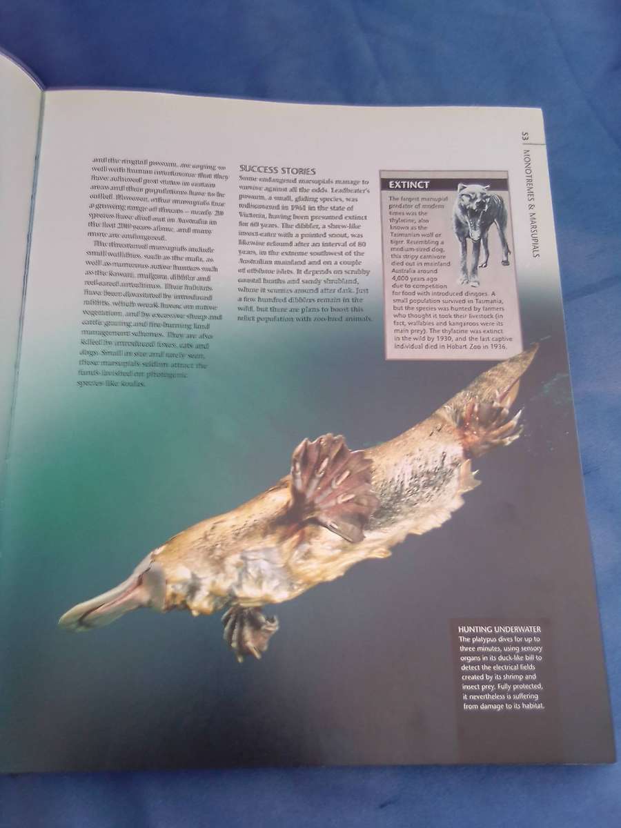 "Endangered". Wildlife on the brink of Extinction.   Hard cover.