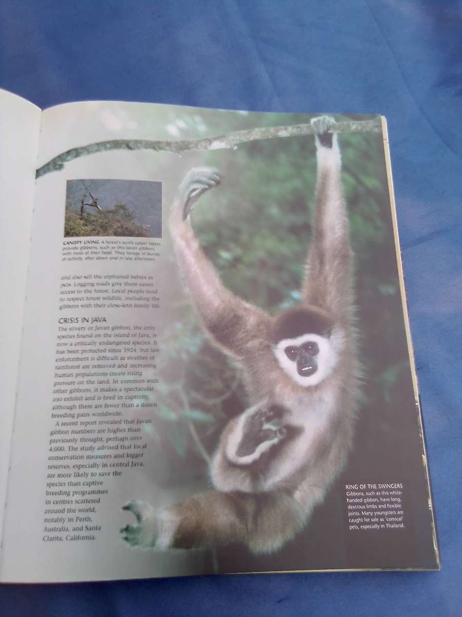 "Endangered". Wildlife on the brink of Extinction.   Hard cover.