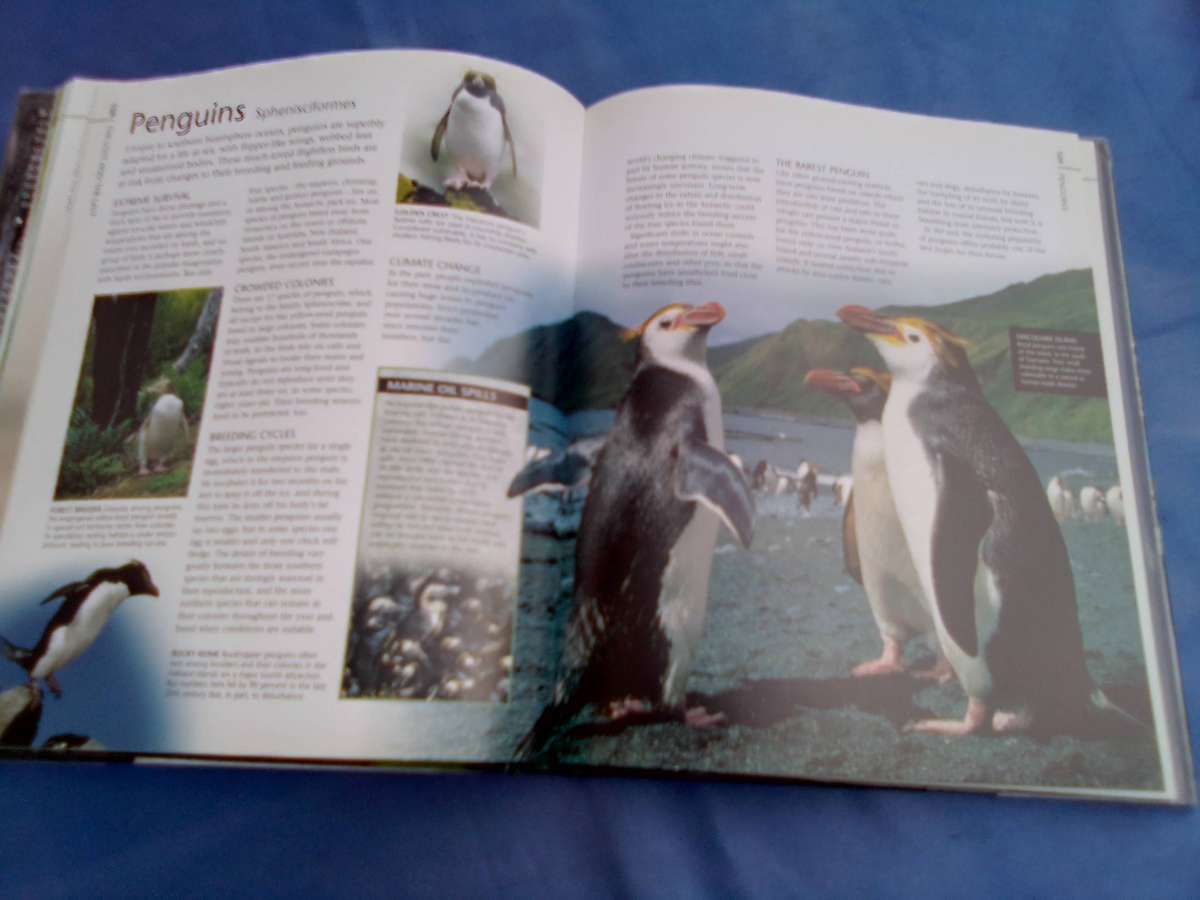 "Endangered". Wildlife on the brink of Extinction.   Hard cover.