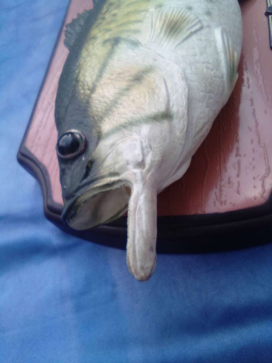 Big Mouth Billy Bass.  Working. Sings: "Don't worry, be happy"