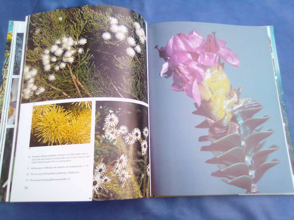 "Wild Flowers of Table Mountain". Hard cover.