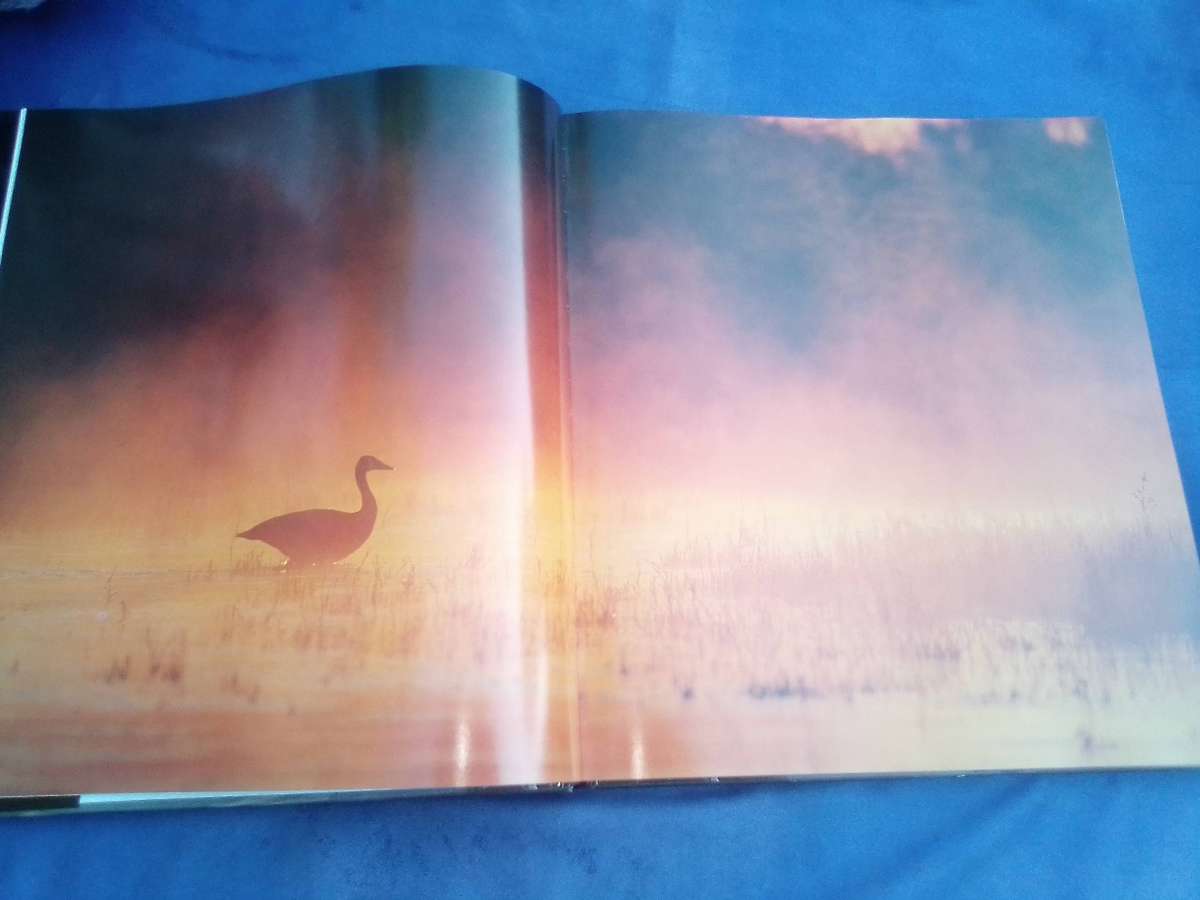 "Dwellers in Eden"  Hard cover.