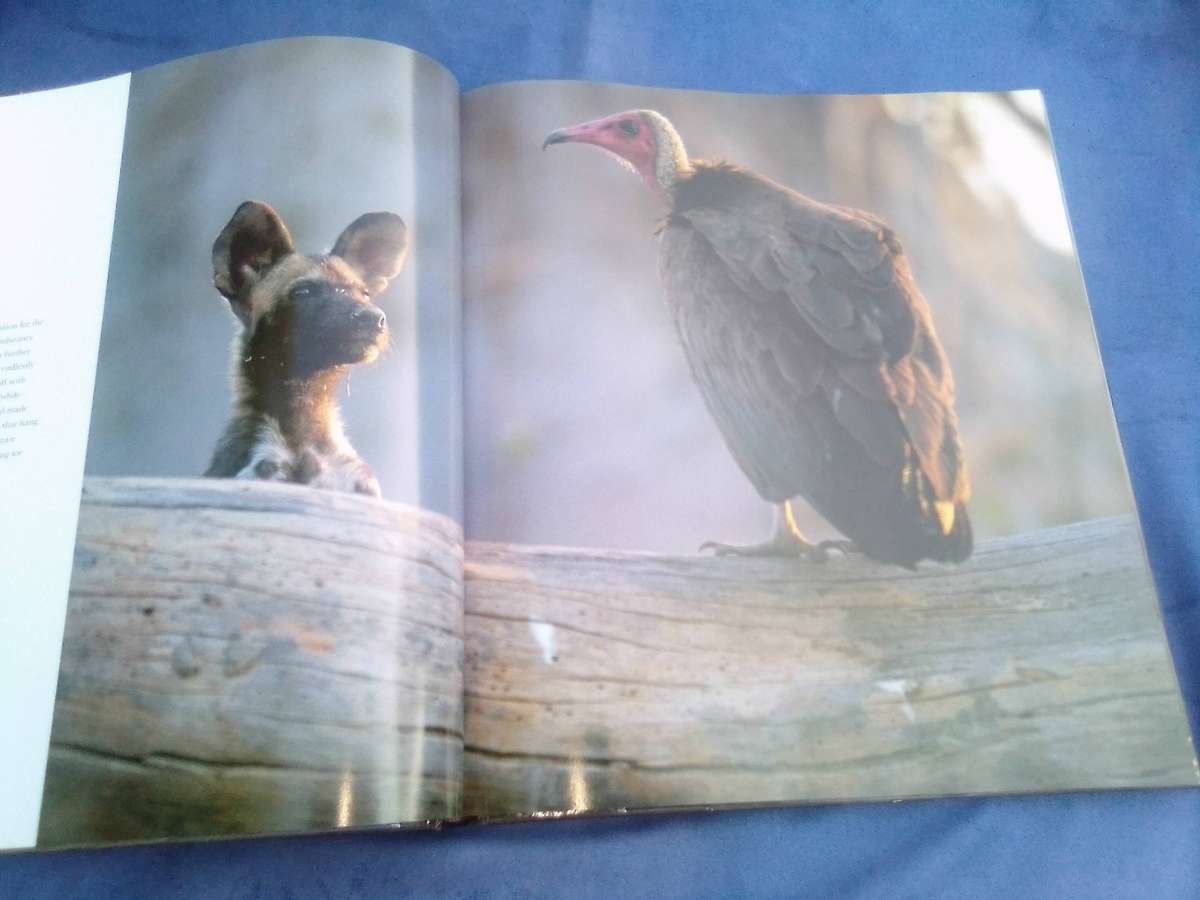 "Dwellers in Eden"  Hard cover.