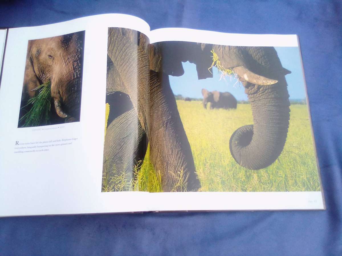 "Dwellers in Eden"  Hard cover.