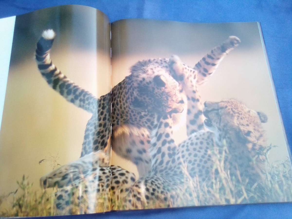 "Dwellers in Eden"  Hard cover.