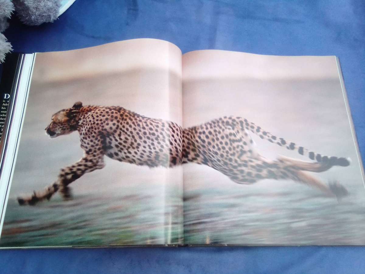 "Dwellers in Eden"  Hard cover.